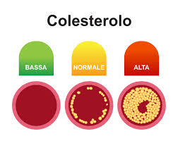 COLESTEROLO-E-TRIGLICERIDI