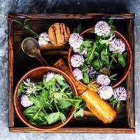 DEPURATIVI-E-DRENANTI