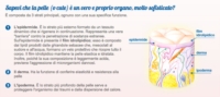 Bepanthenol Linea Bambini Sensiderm Crema Lenitiva Pelli Sensibili 50 g